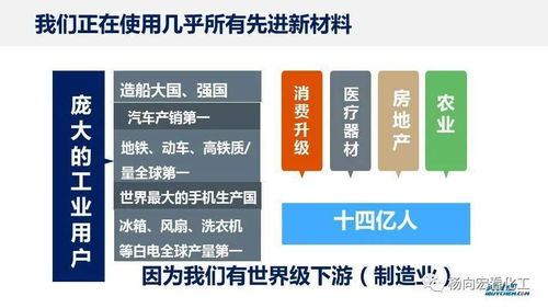 中国化工新材料发展