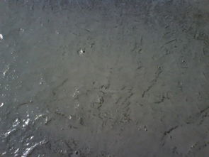 永聚牌101 建筑防水剂