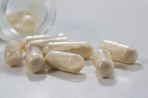 新原料资讯 微胶囊化产品finecap nutrofeli淀粉基辅料等