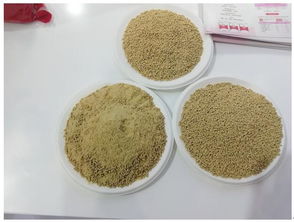 回归本真,安全为先 新希望六和推出新型教保料产品 心三餐
