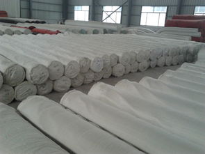 山东复合土工布的优势与发展前景——聚焦新材料与优秀厂家